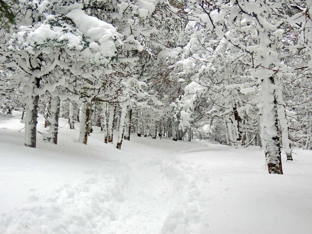 Winter on Mount Jackson