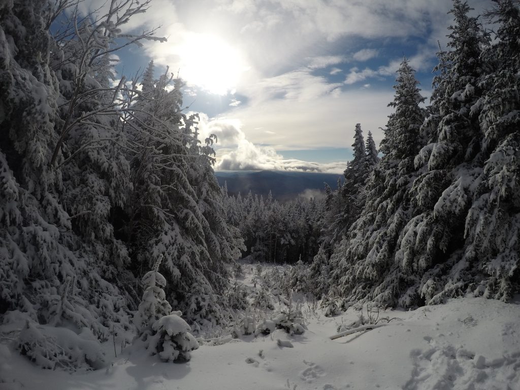 Trail Views from Mount Moosilauke in Winter