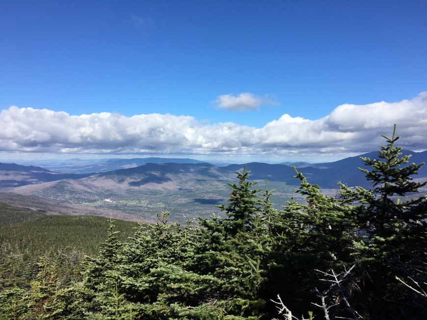 Hiking Mount Field Crawford Notch, NH Avalon & Tom Included