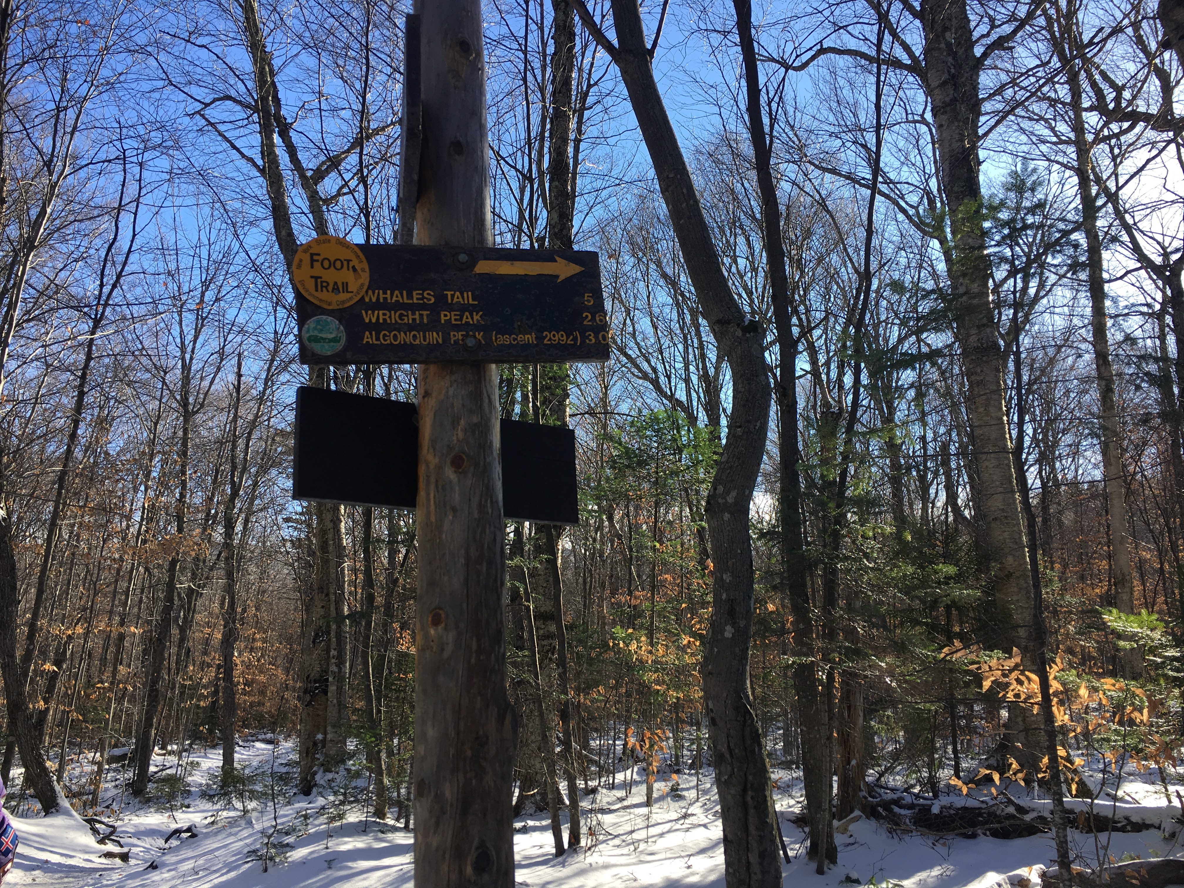 Wright and Algonquin Peak Trail Junction