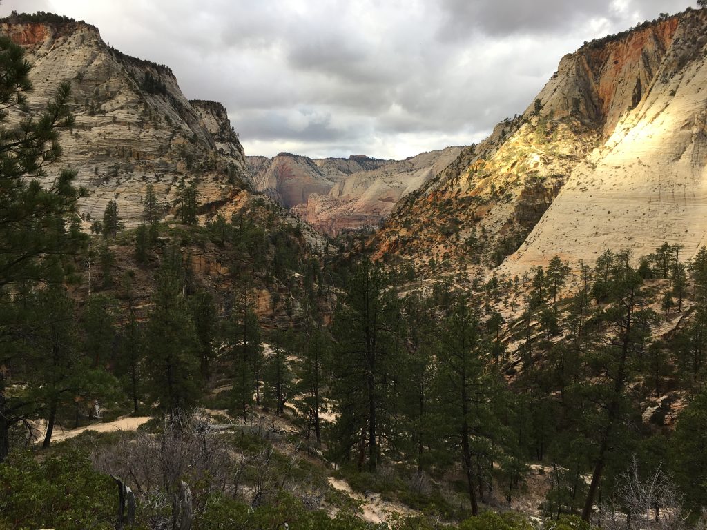 Echo Canyon Trail Views