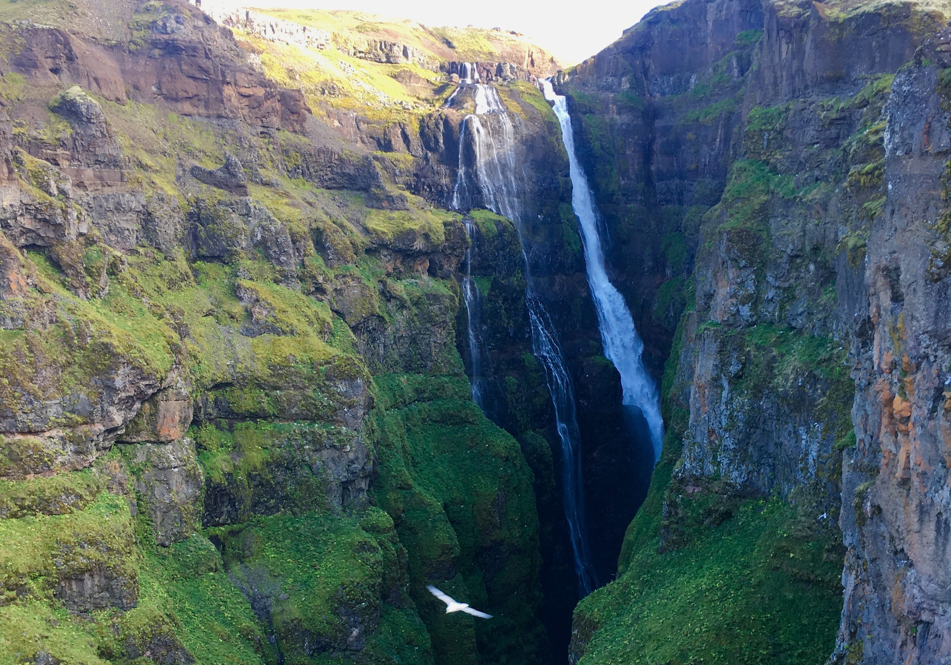 Hiking to Glymur Falls | Everything You Need to Know | Iceland