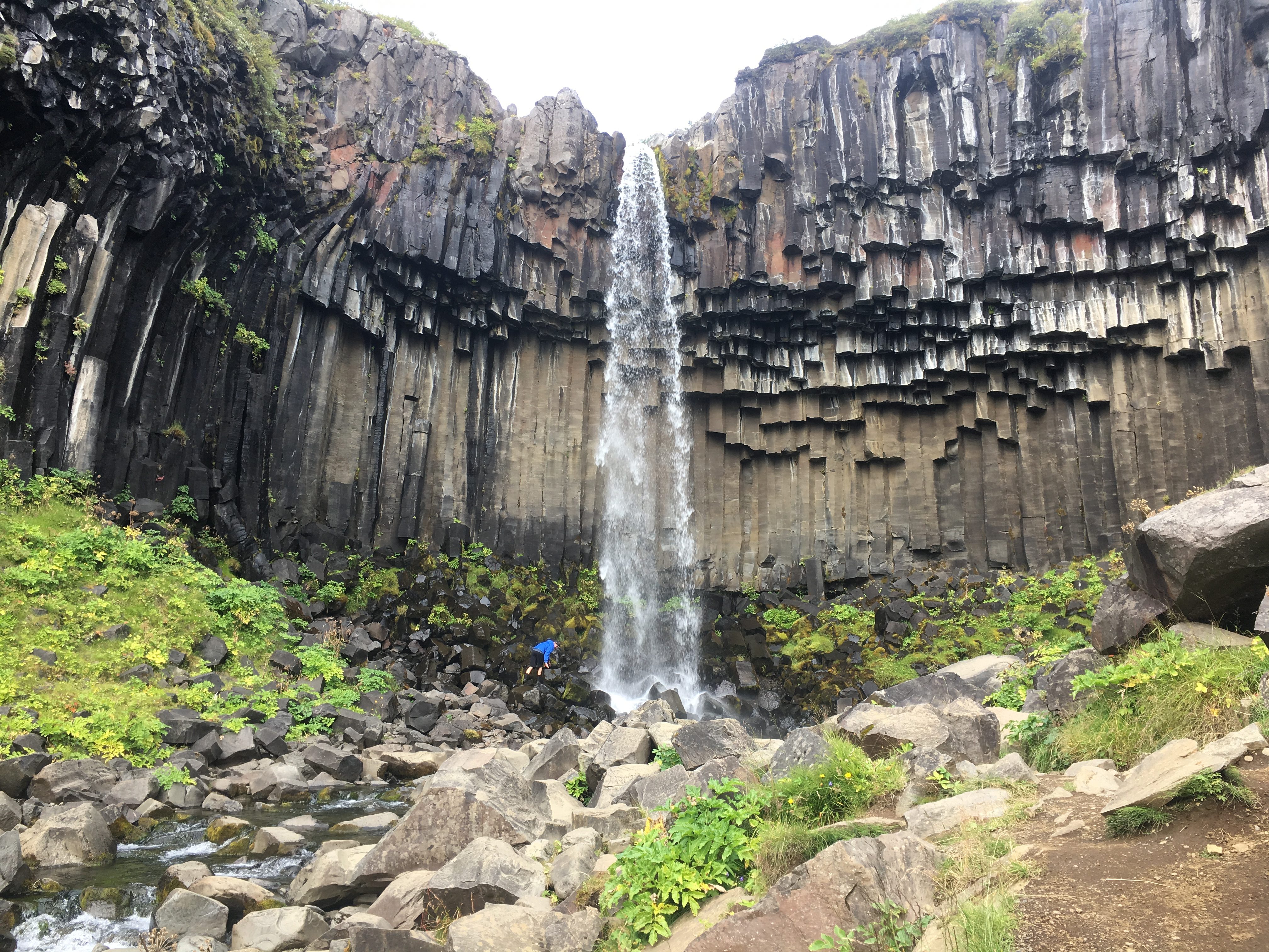 Svartifoss Waterfall Hike – Skaftafell, Iceland