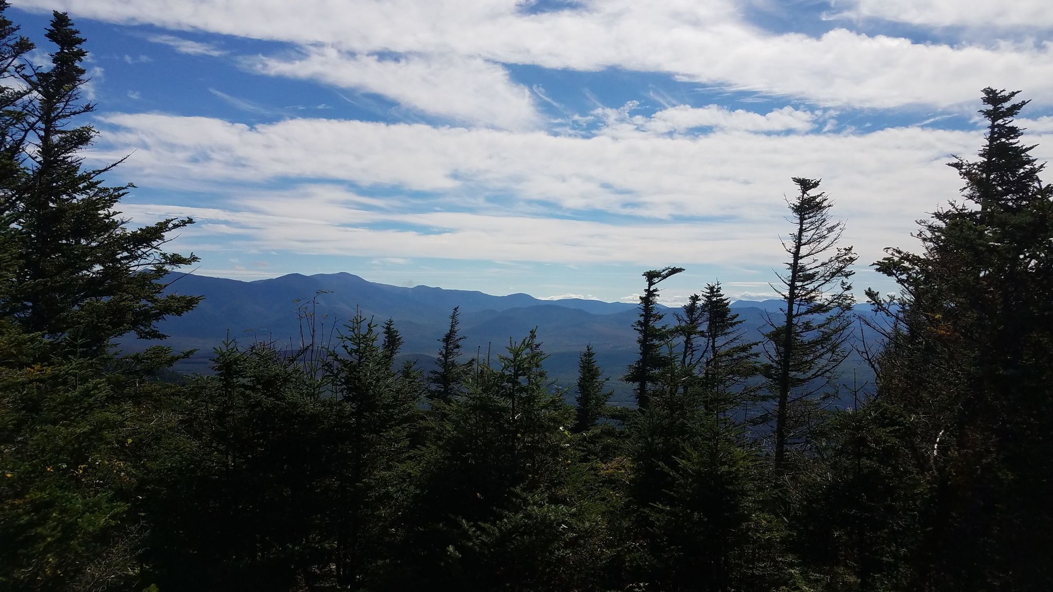 Mount Waumbek Hiking Trail Guide: Map, Trail Descriptions, Pictures & More