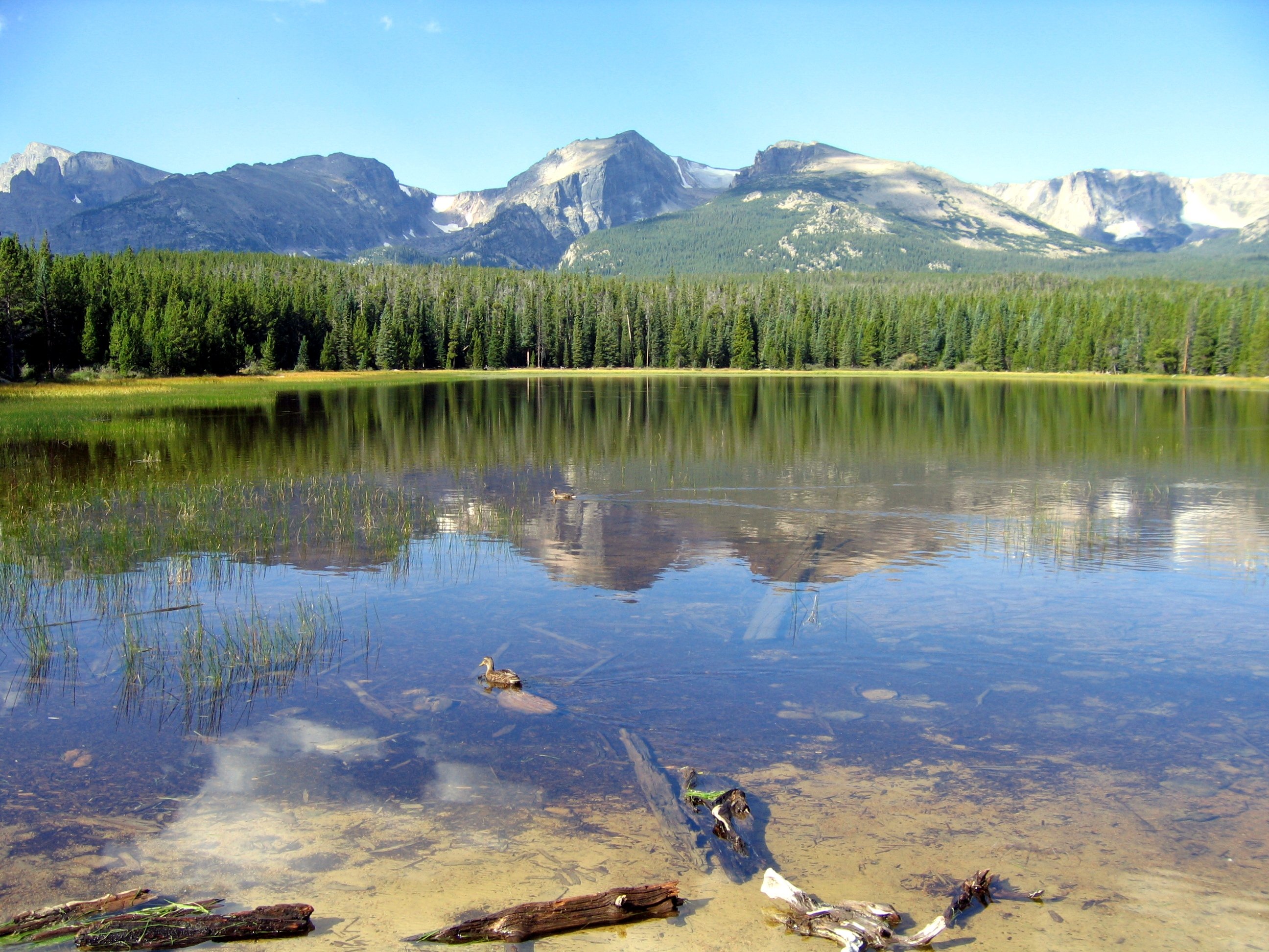Bierstadt Lake: A Short & Beautiful Rocky Mountain National Park Hike