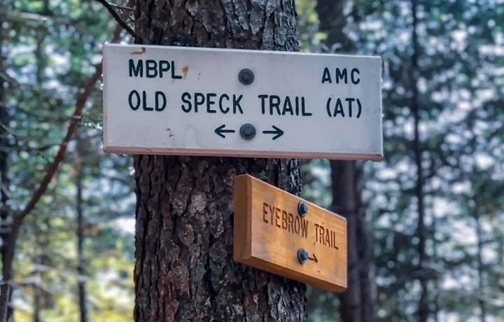 Old Speck Mountain Hiking Trail Guide: Map, Trail Descriptions, Pictures & More