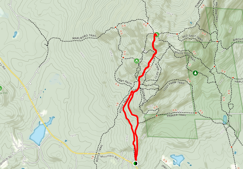 Mount Monadnock White Arrow Trail Map