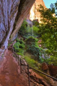 Best Hikes In Zion National Park