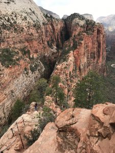 The Best Hikes In Zion National Park, Utah