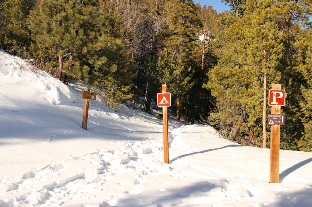 Where Colorado Trail Diverges From Mount Princeton Trail