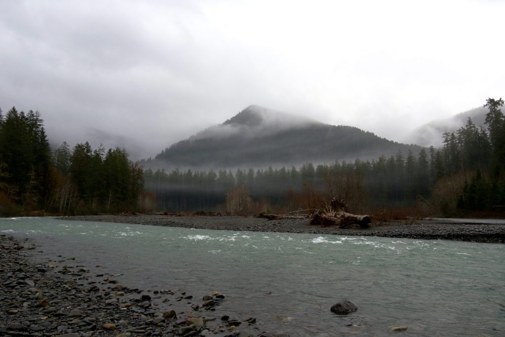 Clouds sit on hills on a rainy day in Olympic National Park's Hoh Rainforest