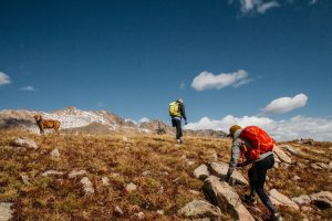 Physical Benefits of Hiking