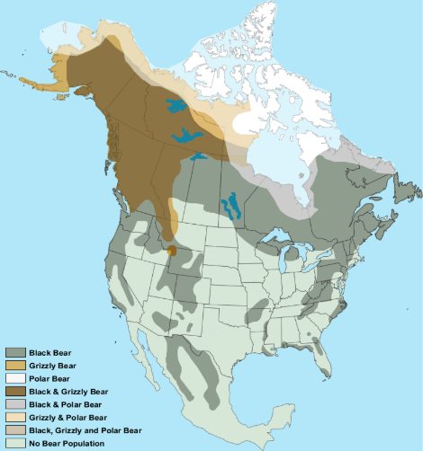 Bear's Population & Range of Habitat Map