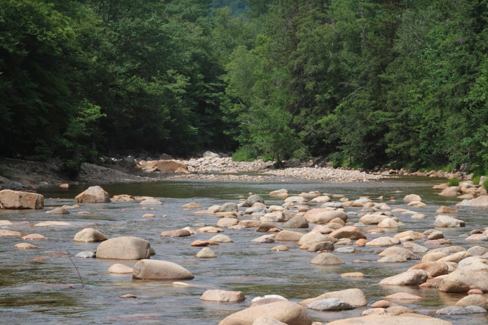 Fly Fishing The Saco River – Complete Guide To This NH & ME River