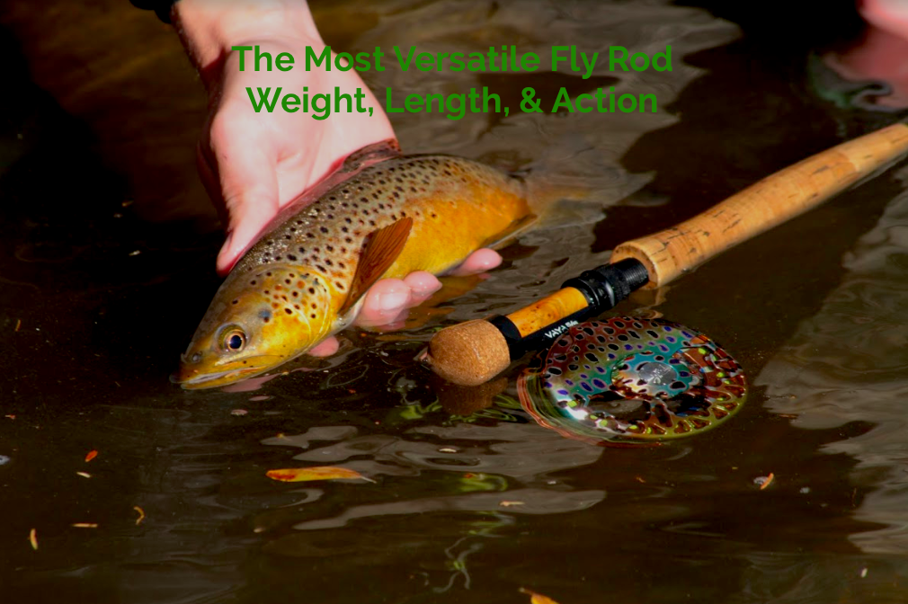 Most Versatile Fly Rod Weight, Action, And Length