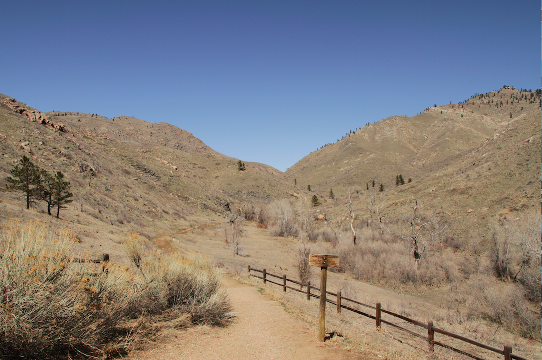 Hiking Hewlett Gulch Trail – Poudre Canyon, Colorado