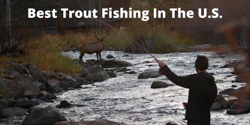 12 Best Destinations for Trout Fishing in the U.S. [Plus Bonus Destinations Below]