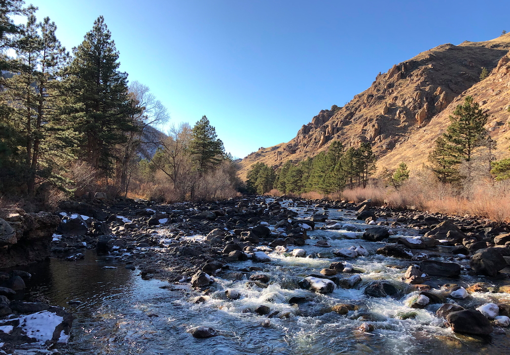 Fly Fishing Cache La Poudre River – Fort Collins, CO – Complete Guide w/ Map, Pictures, Tips & More