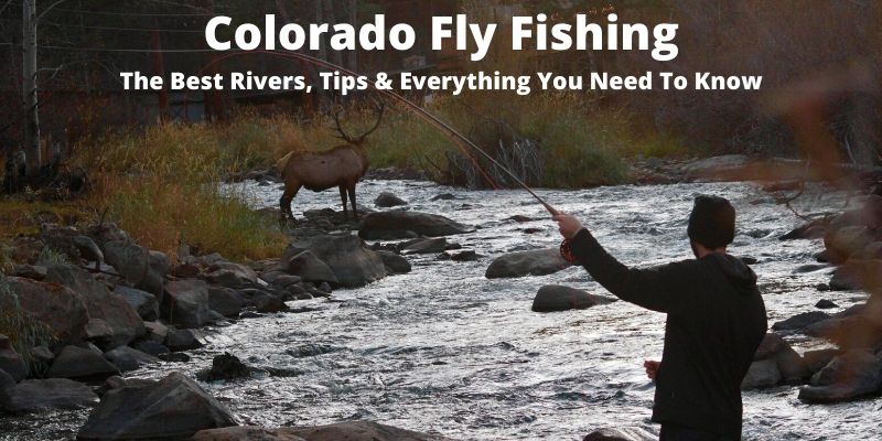 Fly Fishing Colorado – The Best Rivers, Tips & Everything You Need