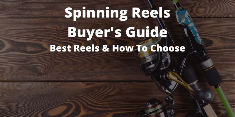 Spinning Reel Buyer’s Guide: Best of 2023 [And How To Choose]