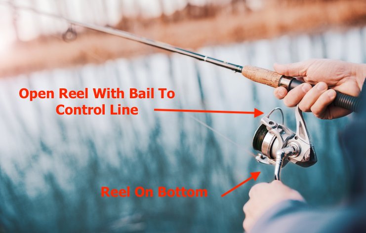 Types Of Fishing Rods & Poles Explained [Key Differences]