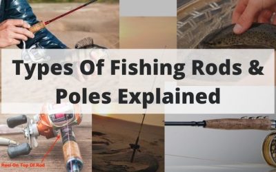 Types Of Fishing Rods & Poles Explained [Key Differences]