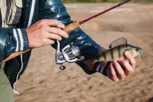 Ultralight Fishing Rod