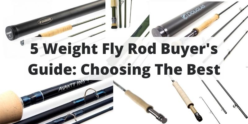Best 5 Weight Fly Rods