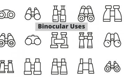Binocular Uses: Common & Uncommon Use Cases