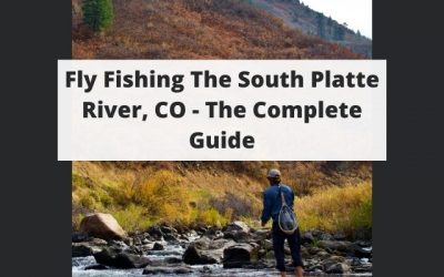 Fly Fishing The South Platte River, CO – Complete Guide w/ Map, Pictures, Tips & More