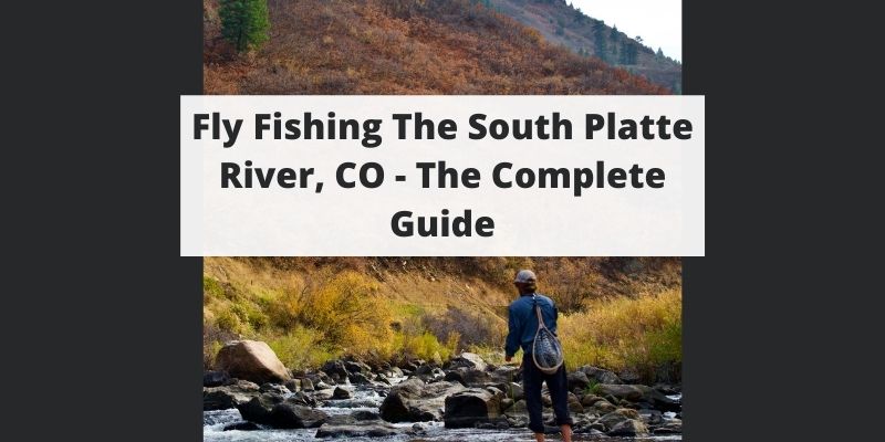 Fly Fishing South Platte River - CO