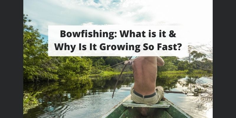 Why Bowfishing is Gaining in Popularity