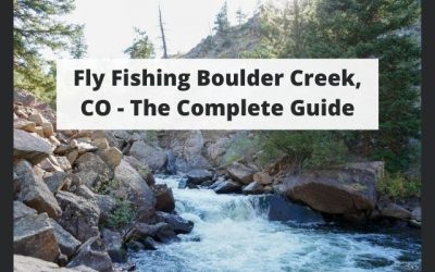 Fly Fishing Boulder Creek, CO – Complete Guide w/ Map, Pictures, Tips & More