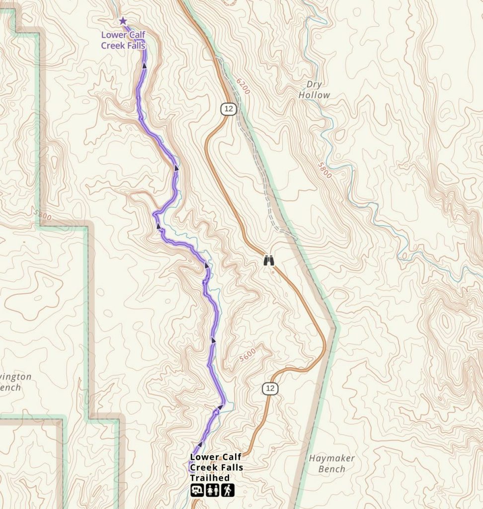 Lower Calf Creek Falls Trail Map