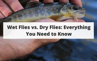 Wet Flies vs. Dry Flies: Everything You Need to Know