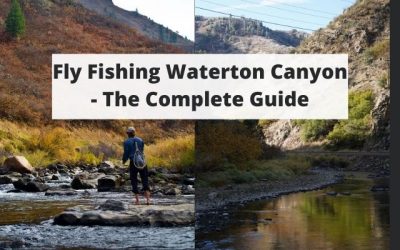 Fishing Waterton Canyon Of The South Platte River, CO – Complete Guide w/ Map, Pictures, Tips & More