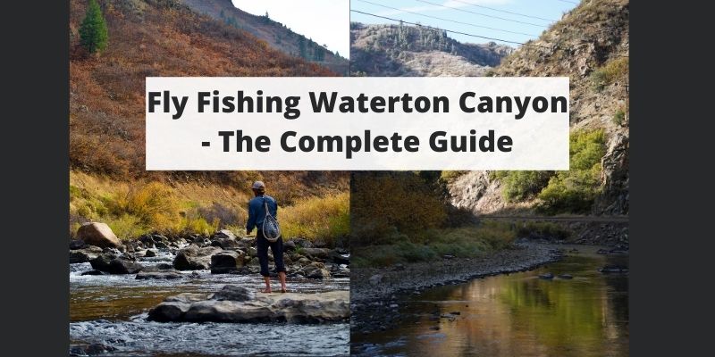 Fly Fishing Waterton Canyon, South Platte River - CO