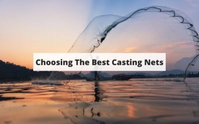 Casting Net Buyer’s Guide – Your Guide To The Best Net