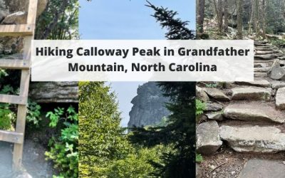 Hiking Calloway Peak in Grandfather Mountain, North Carolina – Trail Map, Description, Pictures & More