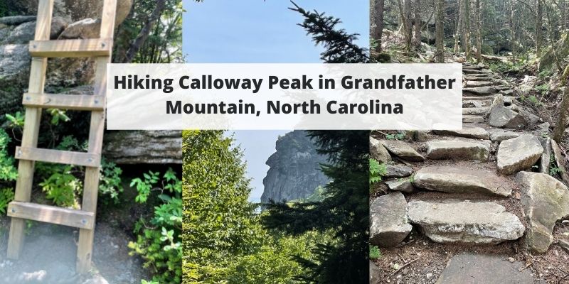 Hiking Calloway Peak in Grandfather Mountain, North Carolina – Trail Map, Description, Pictures & More