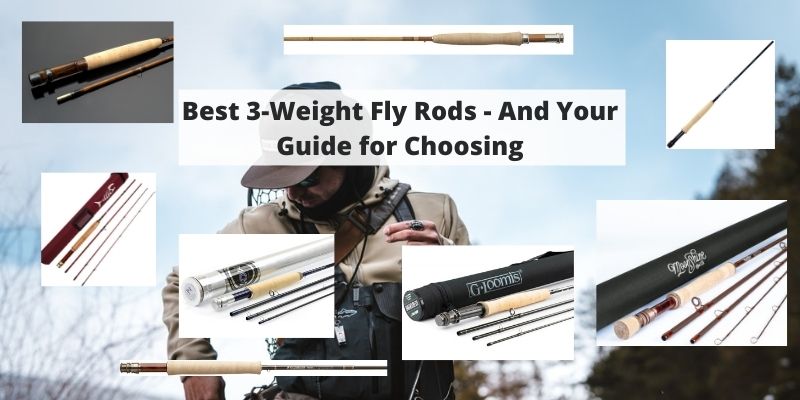Best 3 Weight Fly Rods – Your Buyer’s Guide