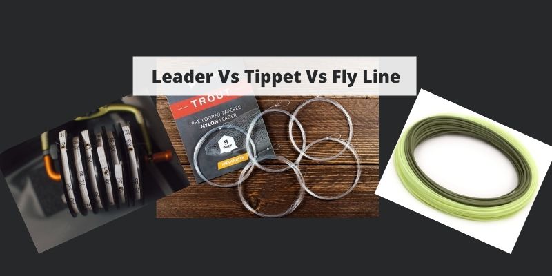 Leader Vs Tippet Vs Fly Line