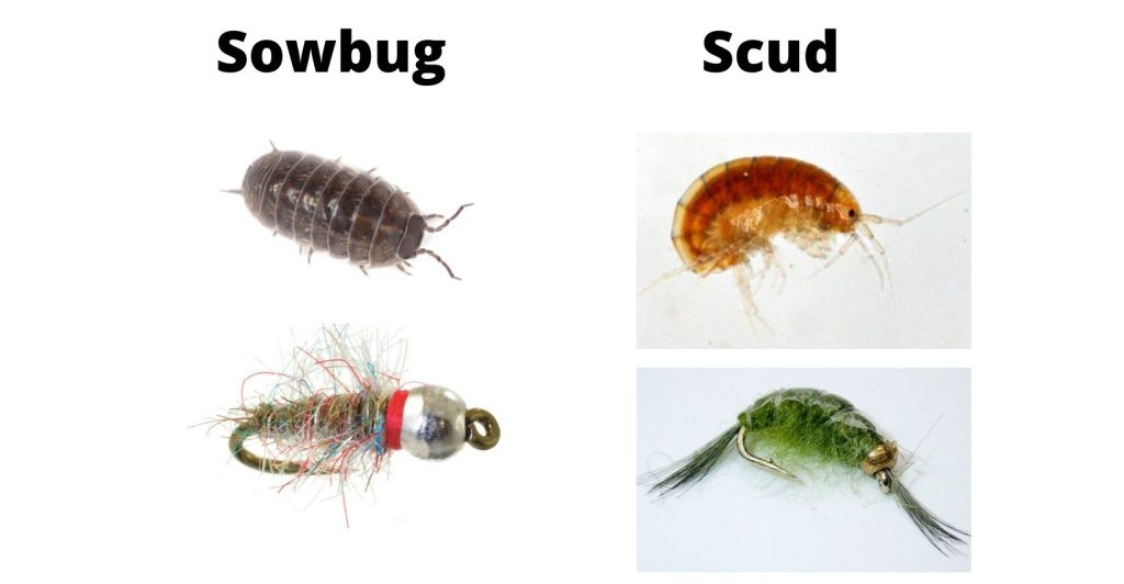 Sowbugs and Scud Fly Fishing Flies