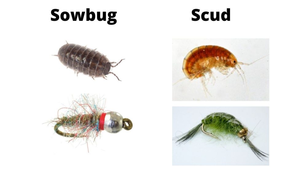Types Of Fly Fishing Flies Your Beginner's Guide