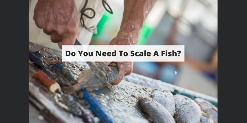 Scaling a Fish: Do You Have to Do It Before Cooking?