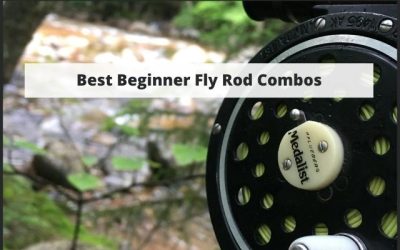 Best Beginner & Advanced Fly Rod Combos & How To Choose