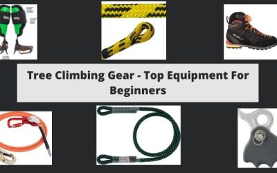 Tree Climbing Gear – Top Equipment For Beginners