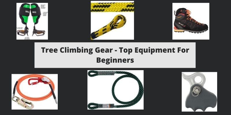 Tree Climbing Gear – Top Equipment For Beginners
