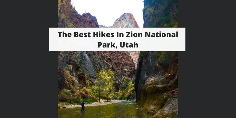 Best Hikes In Zion National Park, Utah