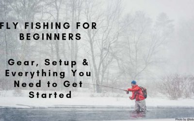 Fly Fishing For Beginners – Gear Needs, Setup & Everything You Need to Get Started